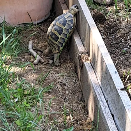 Moulin De L'arcas 게스트하우스