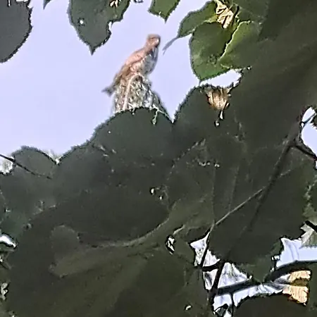 Moulin De L'arcas 3*