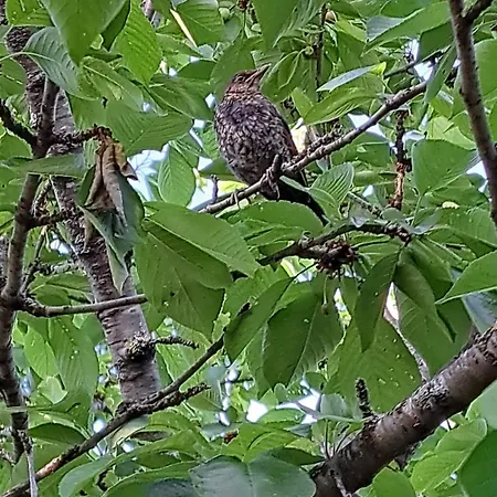 Moulin De L'arcas 게스트하우스