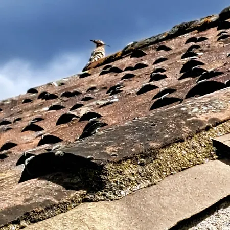 Moulin De L'arcas Prémian